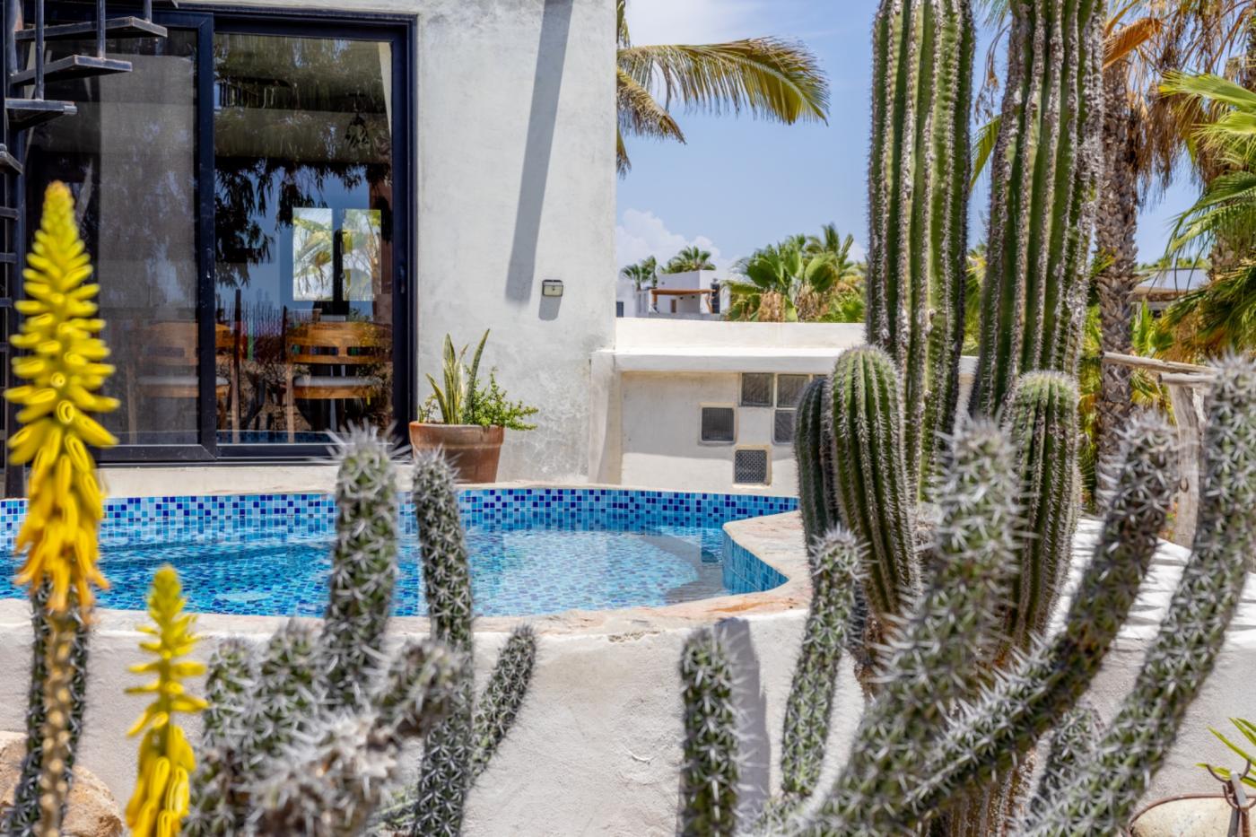Casa Baja Bliss